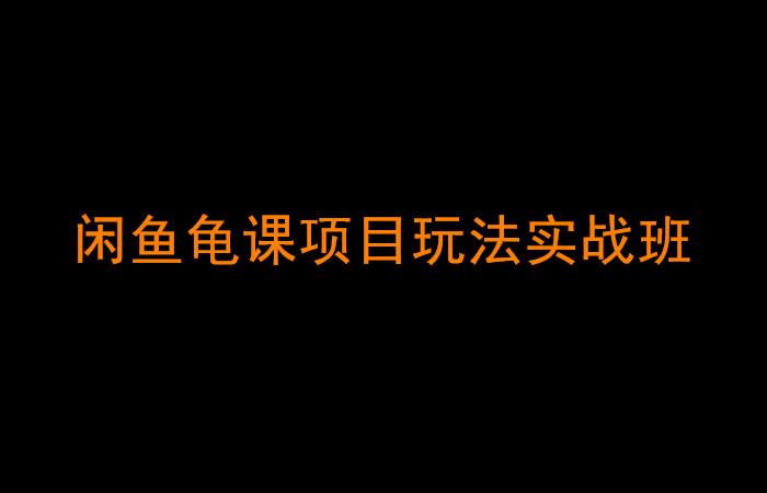 龟课闲鱼项目玩法实战班第13期，闲鱼轻松月入过万