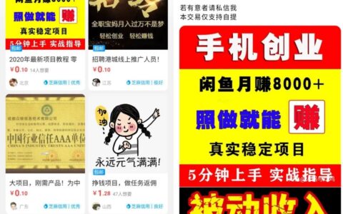 闲鱼如何引流创业粉？闲鱼引流推广技巧分享