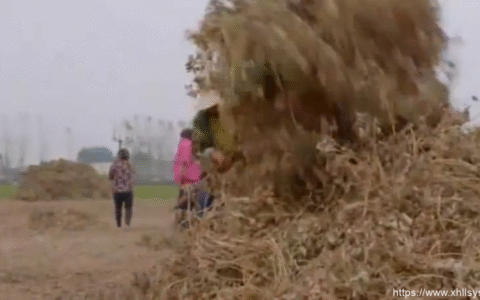 在农村低成本创业项目，做好了轻松年赚几十万！