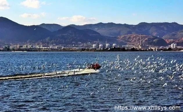 女生副业做什么好_旅游副业需要做什么？插图2