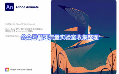 电脑动画制作软件_animate 2021免费分享