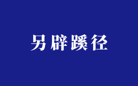 如何利用ChaPT赚钱？项目分析