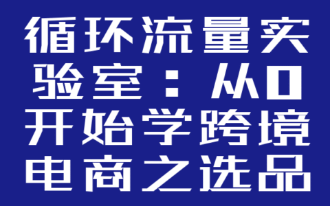 循环流量实验室：从0开始学跨境电商之选品