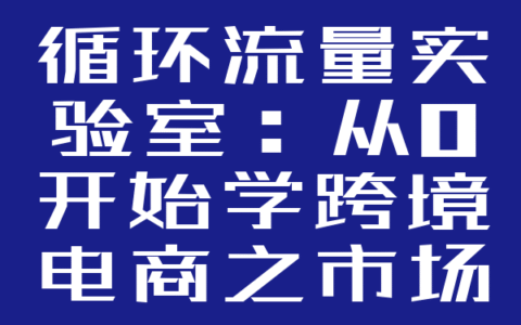 循环流量实验室：从0开始学跨境电商之市场调研