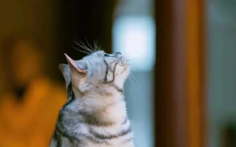 什么是主体性？如何构建主体性？丨文章备份