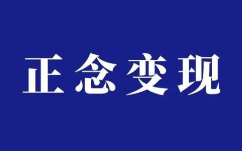 小红书正念打卡项目分析