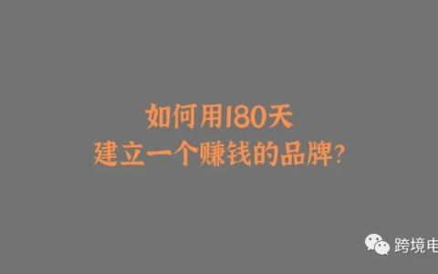如何用180天建立一个赚钱的跨境电商品牌？丨文章备份