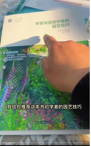 抖音庭院设计混剪带货项目分析插图4