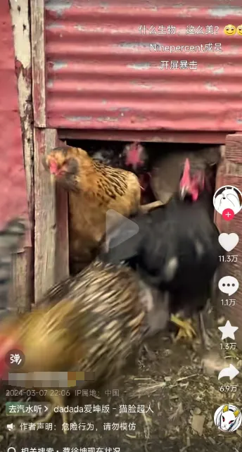 蔡徐坤爱坤梗混剪带货项目分析插图3