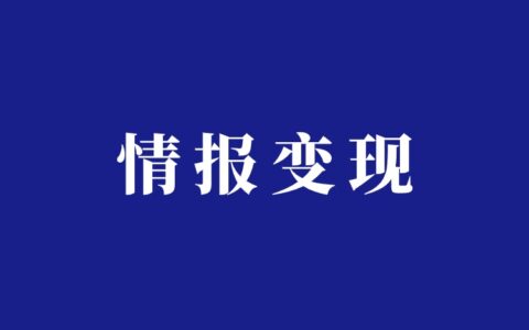 情报信息报告项目分享