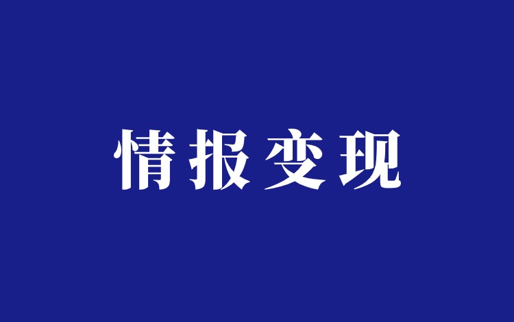 情报信息报告项目分享插图