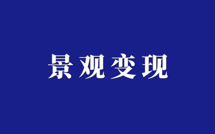 抖音庭院设计混剪带货项目分析插图