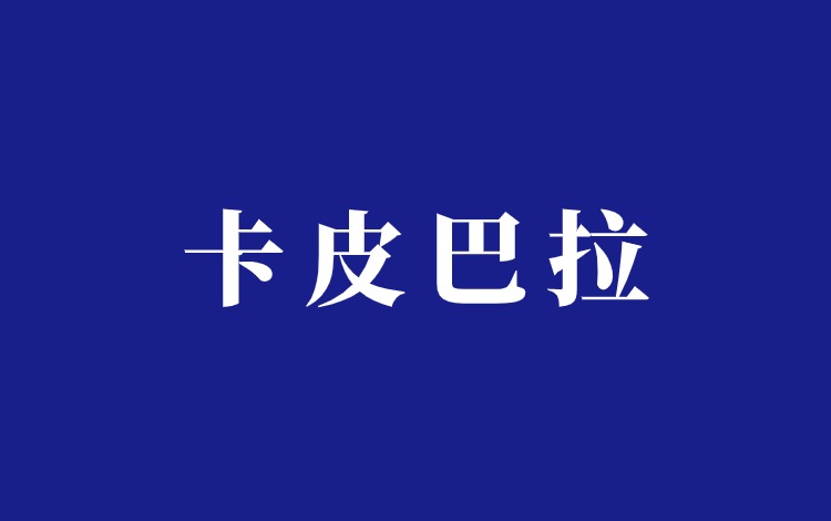 水豚卡皮巴拉抖音搬运带货项目分享插图