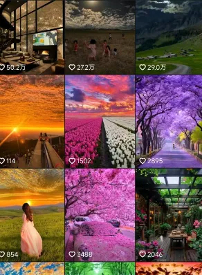 抖音音乐疗法音频合集项目分享插图1