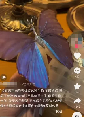 抖音卖蝴蝶标本项目分享插图2