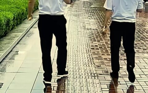 体态纠正数据库变现项目分享