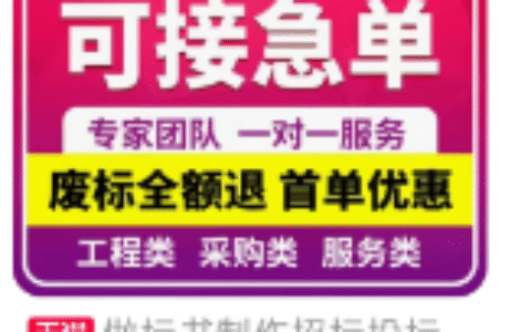 招标投标书代制作项目分析，单价200，月入140万