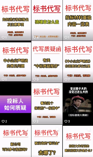 招标投标书代制作项目分析，单价200，月入140万插图1