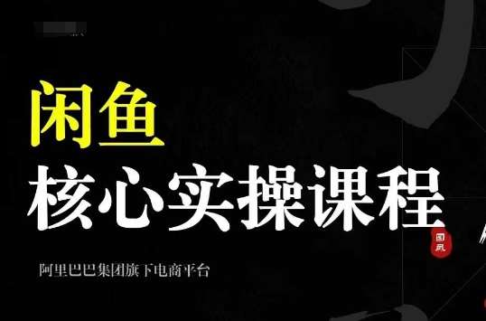 2024闲鱼核心实操课程：养号\选品\发布\销售\售后系统教学插图
