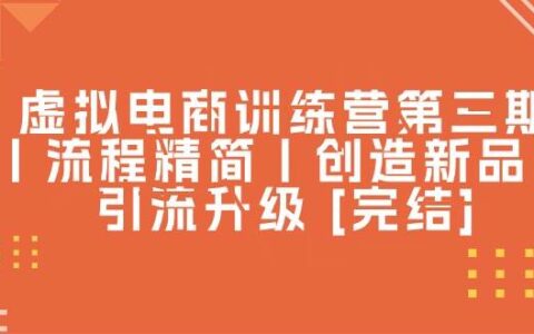 虚拟电商3期课程：流程简化之后的付费投流玩法教学