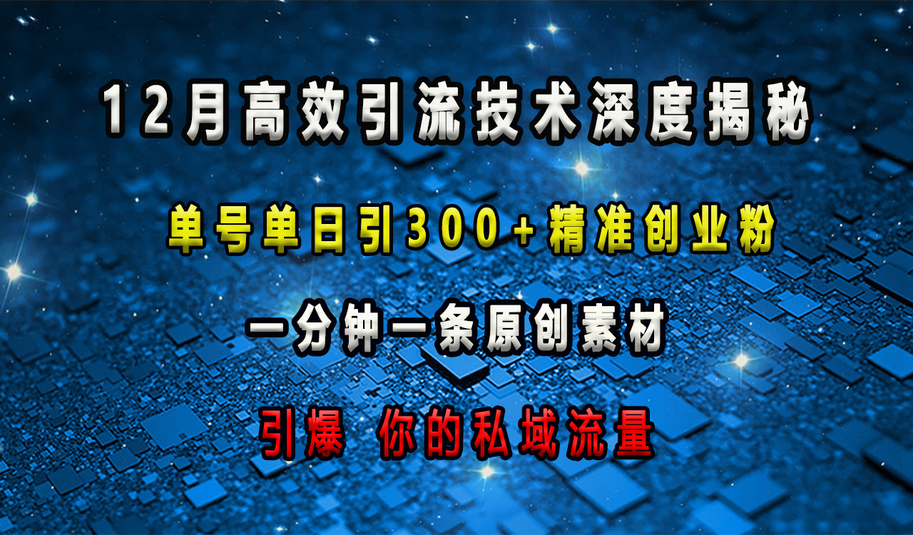 12月高效引流技术深度揭秘 ，单号单日引300+精准创业粉，一分钟一条原创素材，引爆你的私域流量插图