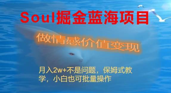 Soul掘金蓝海项目细分赛道，做情感价值变现，月入2w+不是问题插图
