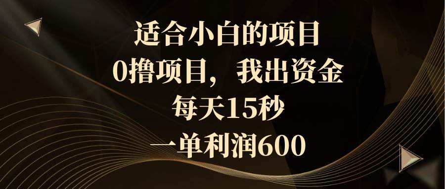 适合小白的项目，0*项目，我出资金，每天15秒，一单利润600插图