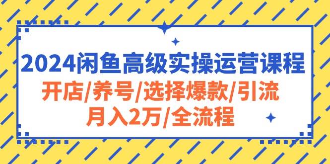 2024闲鱼高级实操运营课程：开店/养号/选择爆款/引流/月入2万/全流程插图