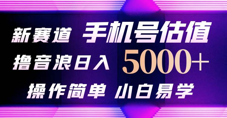 抖音不出境直播【手机号估值】最新*音浪，日入5000+，简单易学，适合…插图
