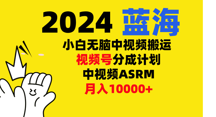 小白无脑**-中视频视频号-分成计中视频ASRM插图