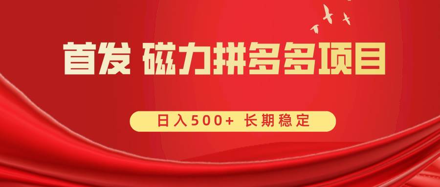 首发 磁力拼多多自*  日入500+插图