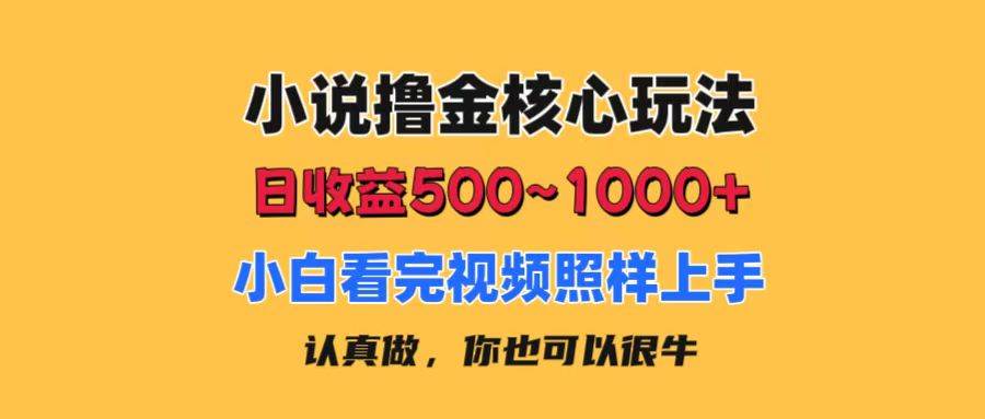 小说*金核心玩法，日收益500-1000+，小白看完照样上手，0成本有手就行插图