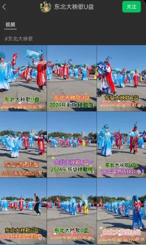 抖音卖东北大秧歌U盘项目教程分享插图1