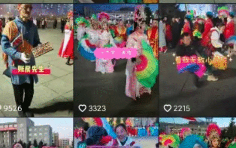 抖音卖蝴蝶标本项目分享