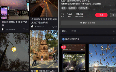 在小红书发实况视频素材，边玩边赚钱，完美的生意。