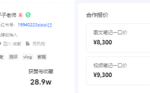 小红书广告变现赛道博主深度分析（就是商单号博主）