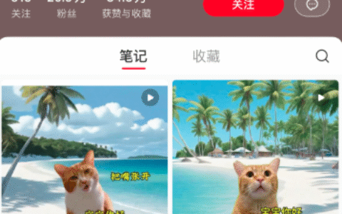 小红书猫meme单月涨粉21万，变现1.9万玩法分析