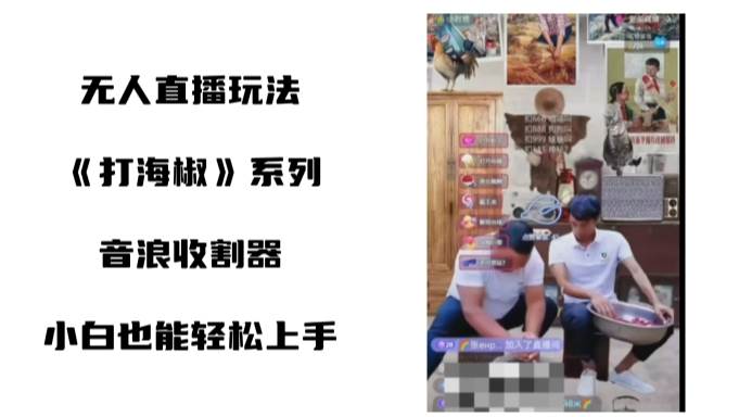 打海椒无人直播整蛊项目，小白轻松上手*音浪收割器（教程+工具+素材）插图
