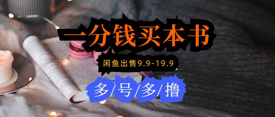 每天花1分钱买一本书，闲鱼出售9.9-19.9不等，多账号多* 新手小白均可操作插图