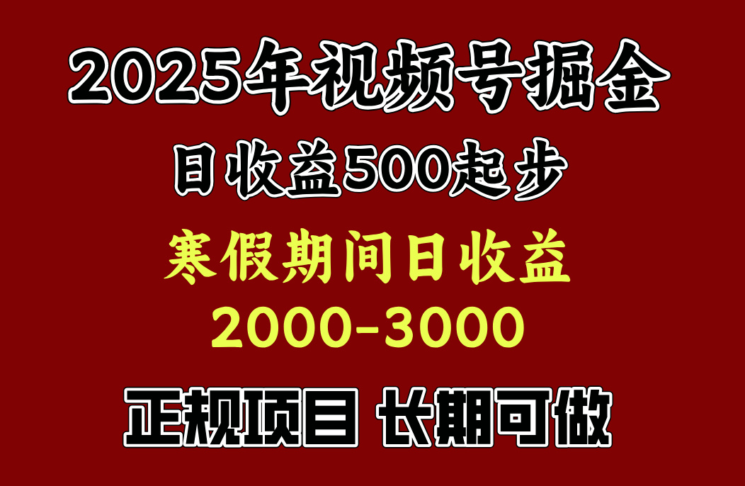 寒假期间一天收益2000+，小白一天就能上手插图
