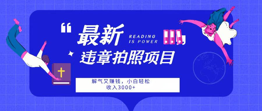 最新违章拍照项目，解气又赚钱，随手一拍，轻松收入3000插图
