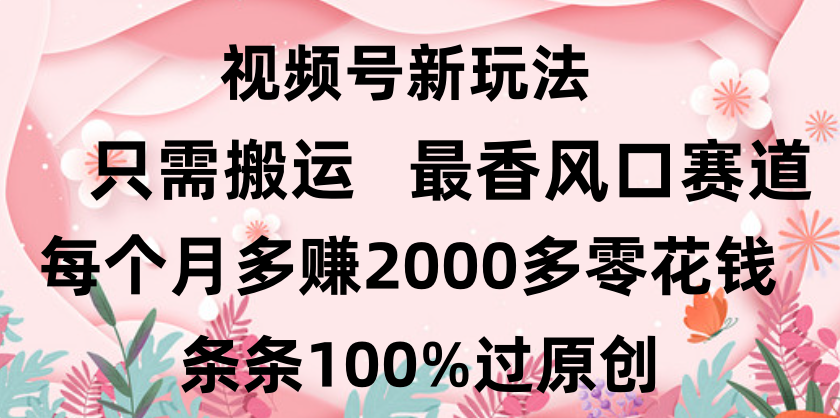 日入2000+，条条100%过原创，视频号最香风口赛道，小白轻松上手插图
