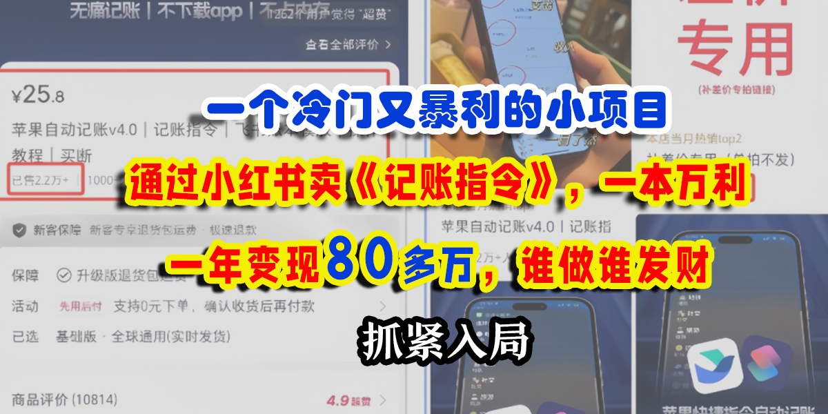 一个冷门又暴利的小项目，通过小红书卖《记账指令》，一本万利，一年变现80多万，谁做谁发财插图