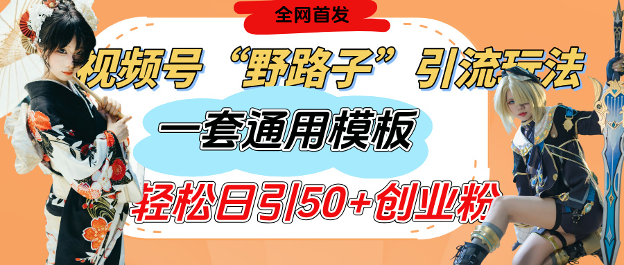 视频号“野路子”玩法，评论区疯狂截流，一套模板单日单号引流50+创业粉插图