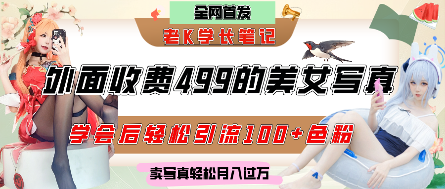 外面收费499的****制作技术，学会后轻松引流色粉变现，日引100+色粉，轻松月入过万插图