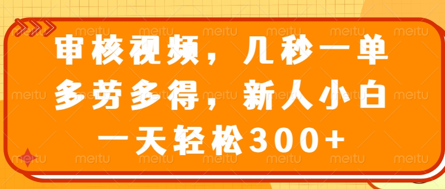 视频审核员，几秒一单，多劳多得，新人小白一天轻松300+插图
