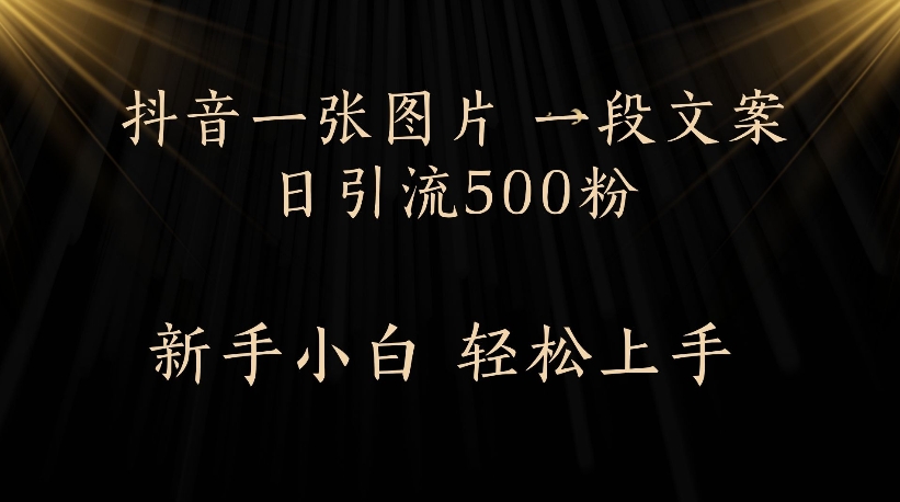 抖音一张图片，一段文案日引流500粉，新手小白 轻松上手插图