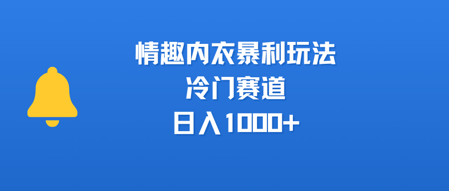 情趣内衣暴利玩法，冷门赛道，日入1000+插图