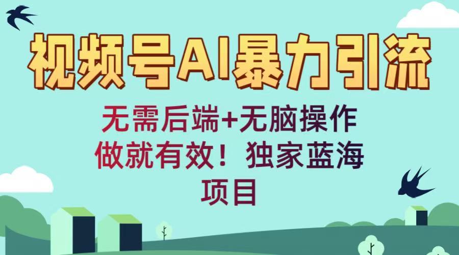 视频号AI暴力引流：无需后端+无脑操作，做就有效！独家蓝海项目插图