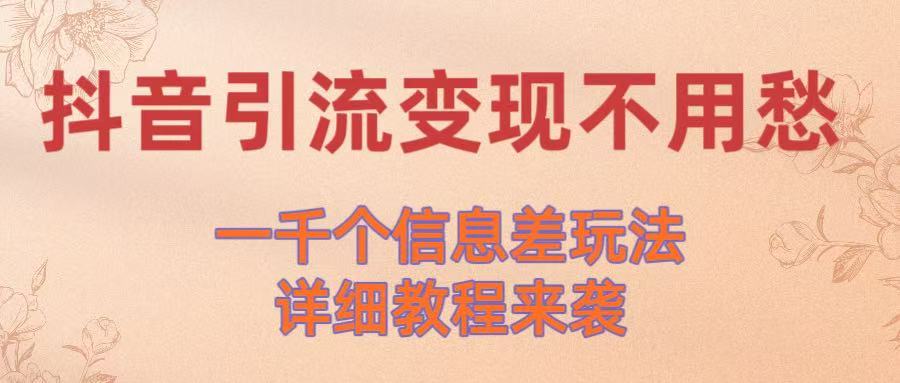抖音引流变现不用愁！一千个信息差玩法详细教程来袭插图